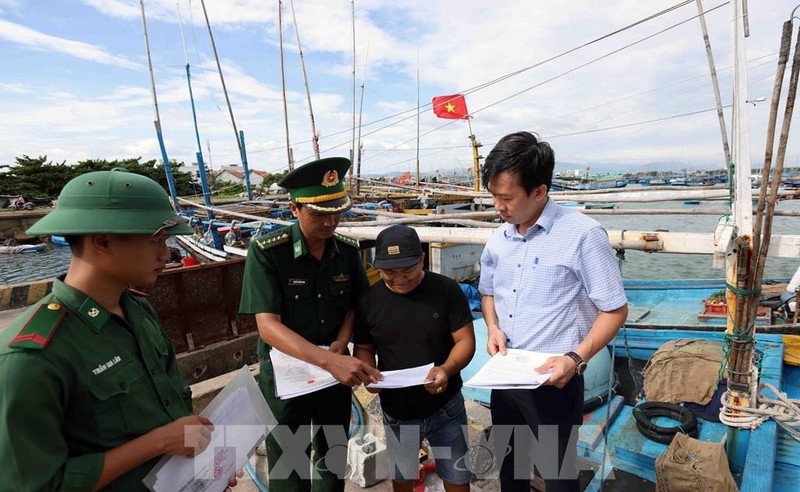 Des gardes-frontières de la province de Binh Dinh inspectent les bateaux de pêche. Photo : VNA.