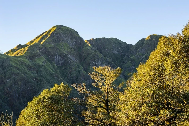 Un coin du parc national Hoang Liên. Photo : Shutterstock.