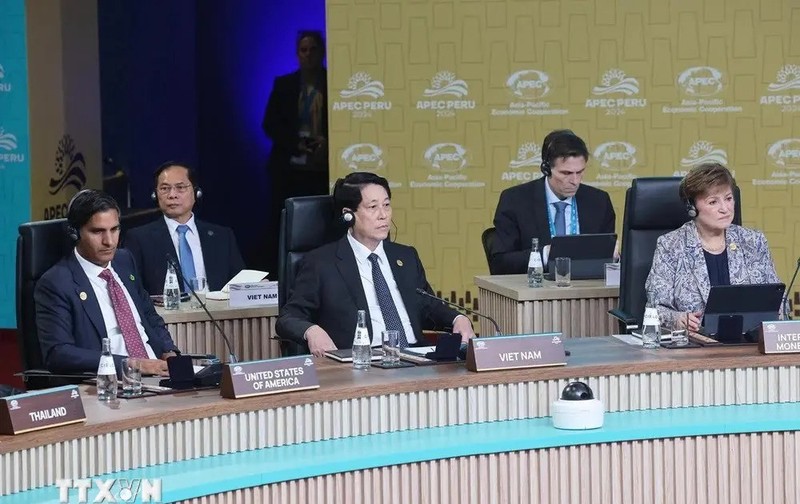 Le président vietnamien Luong Cuong (centre) au 31e Sommet de l'APEC. Photo: VNA