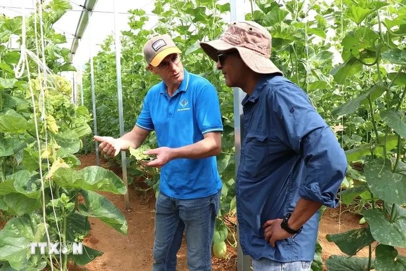 C’est pour mettre en lumière des solutions issues du terrain et de la science que le Cirad et Le Monde organisent lundi 25 novembre à Paris la conférence «Comment nourrir 10 milliards d’humains sans détruire la planète ?». Photo : VNA.