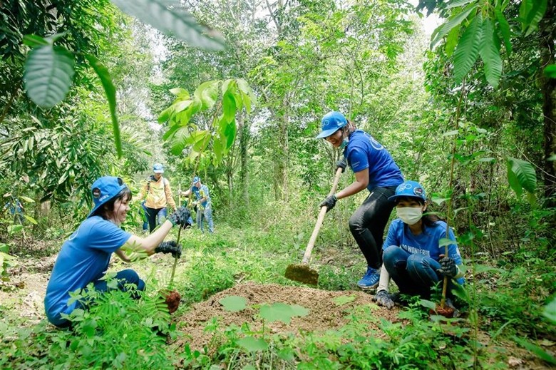 En janvier, les forêts plantées ont couvert 8.100 hectares, soit une hausse de 5% en glissement annuel. Photo : baotuyenquang.vn