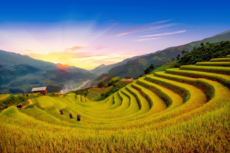 Les sublimes rizières en terrasse à Mu Cang Chai. Photo: Hanoimoi 