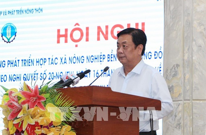 Le ministre de l'Agriculture et du Développement rural, Lê Minh Hoan (photo: Hông Thai/TTXVN)