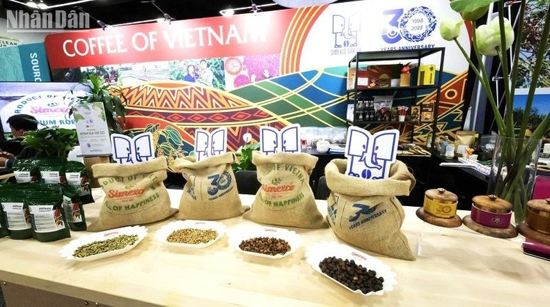 Le Vietnam exporte son premier conteneur de café de spécialité vers le Japon 
