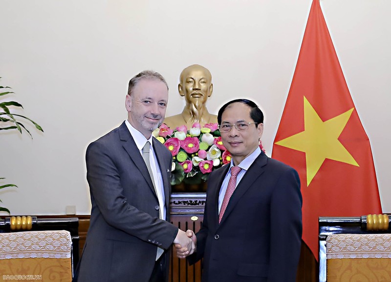 Bui Thanh Son reçoit l’ambassadeur irlandais au terme de son mandat au Vietnam. Photo : BQT