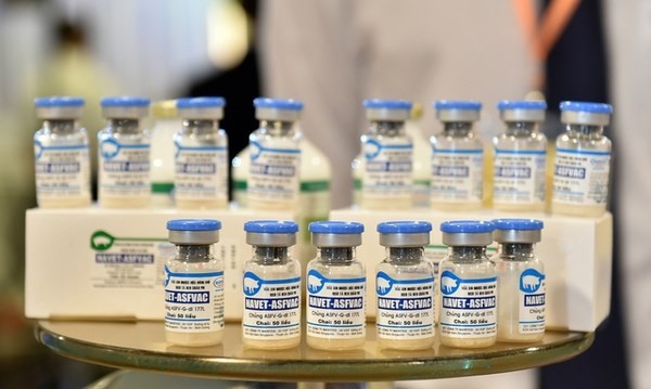 Le vaccin NAVET - ASFVAC contre la PPA. Photo: VGP
