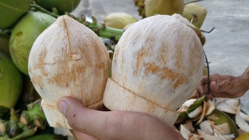 Les États-Unis donnent leur feu vert aux noix de coco du Vietnam