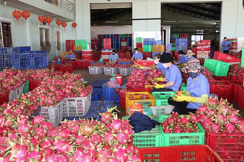 Vietnam-Chine : Les échanges commerciaux dépassent 100 milliards de dollars 