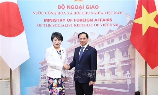 Le ministre vietnamien des Affaires étrangères, Bui Thanh Son, et son homologue japonaise, Kamikawa Yoko. Photo : VNA.