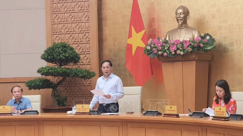 Le vice-Premier ministre et ministre des Affaires étrangères Bui Thanh Son prend la parole. Photo : VNA.