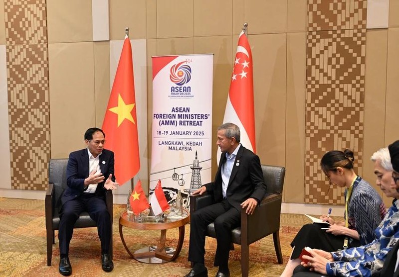 Le vice-Premier ministre et ministre des Affaires étrangères, Bui Thanh Son (gauche), et le ministre des Affaires étrangères de Singapour, Vivian Balakrishnan. Photo : VNA.