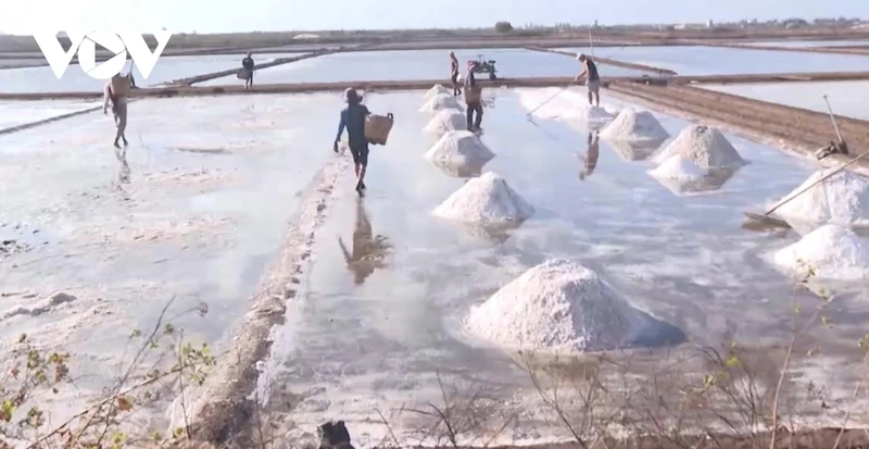 Bac Lieu, surnommée la « capitale du sel » du Vietnam. Photo : VOV.