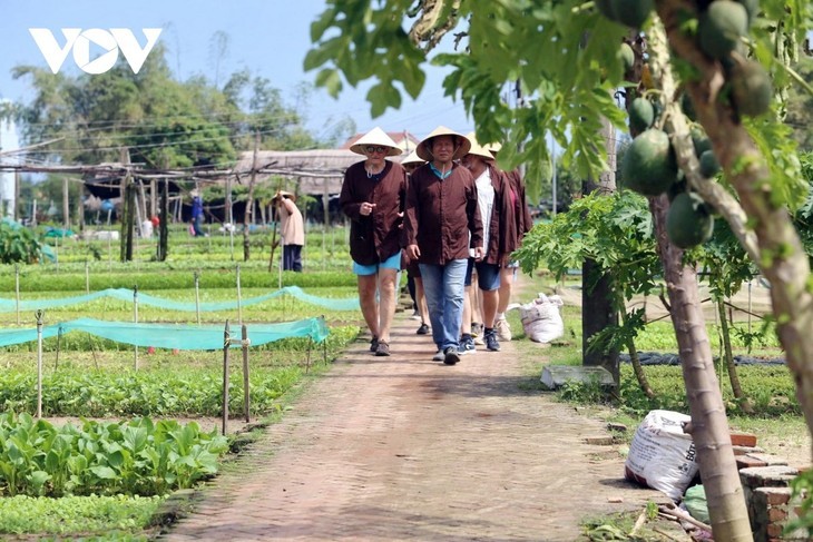 Des touristes étrangers s'initient aux pratiques agricoles au village de Trà Quê, dans la province de Quang Nam, au Centre du Vietnam. Photo : VOV