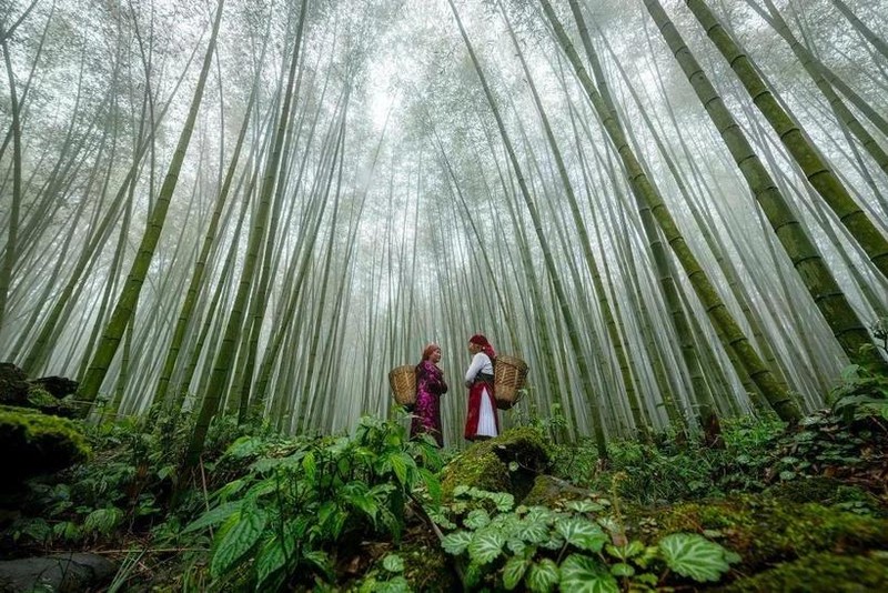 Le tourisme vietnamien se concentrera sur un développement durable et innovant, basé sur une croissance verte, imprégnée de l’identité culturelle vietnamienne. Photo : VNA.