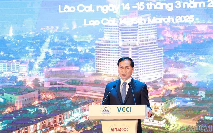 Le vice-Premier ministre et ministre des Affaires étrangères Bùi Thanh Son. Photo : VOV.