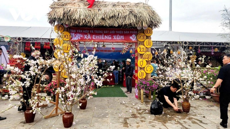 Douze camps culturels ethniques de communes et quartiers participent au Festival des fleurs de Ban à Son La. Photo : VOV.