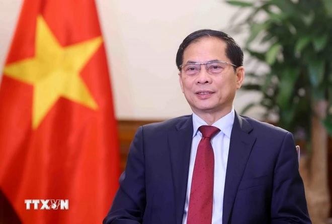 Le vice-Premier ministre et ministre des Affaires étrangèrs Bui Thanh Son. Photo : VNA.