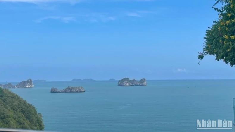 Ces dernières années, le Vietnam a enregistré des progrès significatifs dans la protection de l’environnement marin, en s’appuyant sur la science et la technologie pour construire une économie bleue durable. Photo : NDEL.