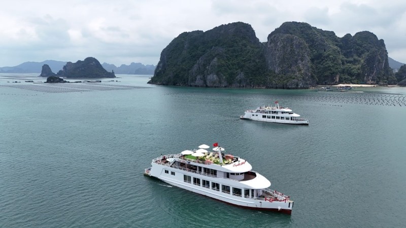 Des premiers navires du projet de développement d'une flotte de navires de croisière de jour et de nuit sur la baie de Bai Tu Long. Photo : VNA.