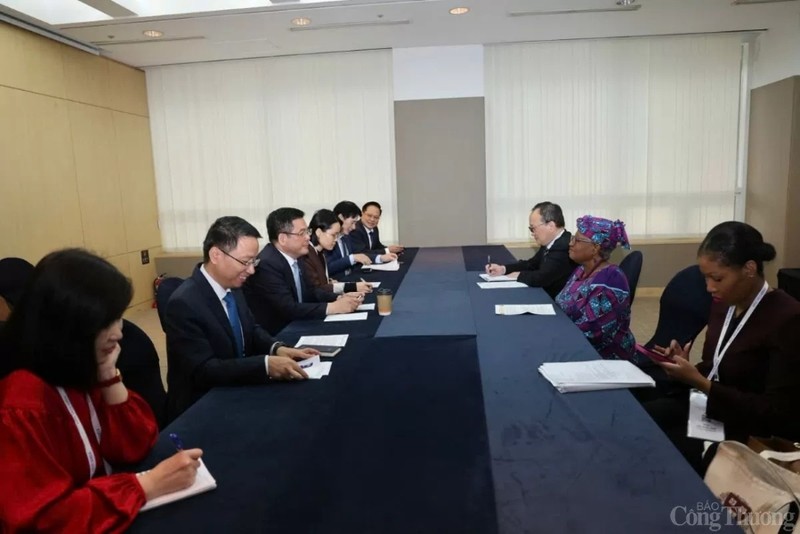 Le ministre Nguyen Hong Dien s’entretient avec Mme Ngozi Okonjo-Iweala, directrice générale de l’OMC. Photo: baocongthuong