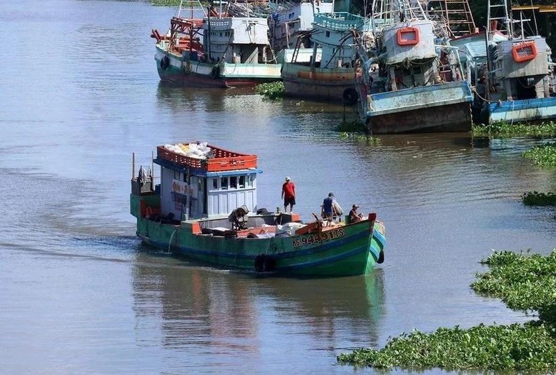 Ben Tre durcit le ton à l'encontre de la pêche INN. Photo : VNA.