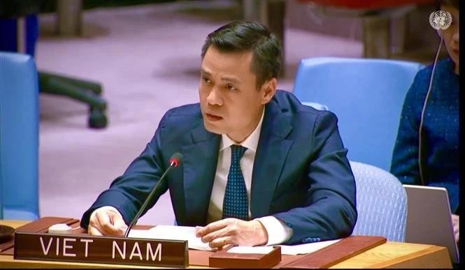 L'ambassadeur Dang Hoang Giang, chef de la Mission permanente du Vietnam auprès de l'ONU. Photo : VNA.