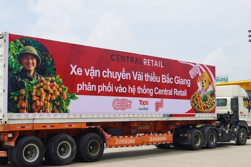 Un camion chargé de litchis de Luc Ngan (Bac Giang) prêt pour la distribution. Photo : Central Retail.