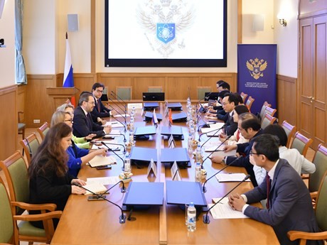 La délégation vietnamienne travaille avec le vice-ministre Konstantin Mogilevskyi et des représentants du ministère russe de la Science et de l'Enseignement supérieur. Photo: VNA.