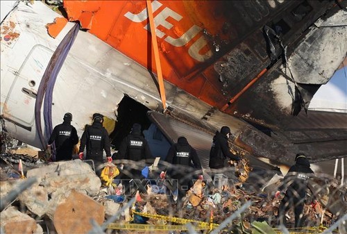 L'avion de Jeju Air après le crash à Muan, en République de Corée, le 4 janvier 2025. Photo: Yonhap/VNA.