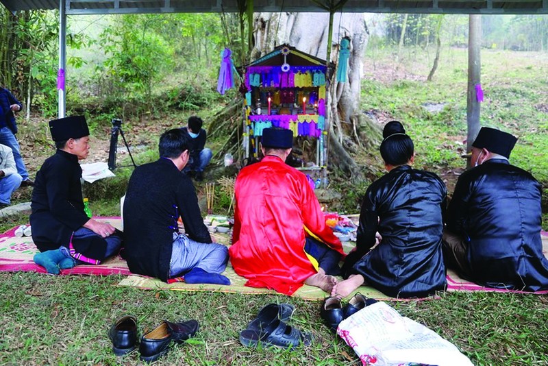 La fête "Xên dông" commence par un rituel du culte de la forêt organisé sous un banian centenaire. Photo: VNA.