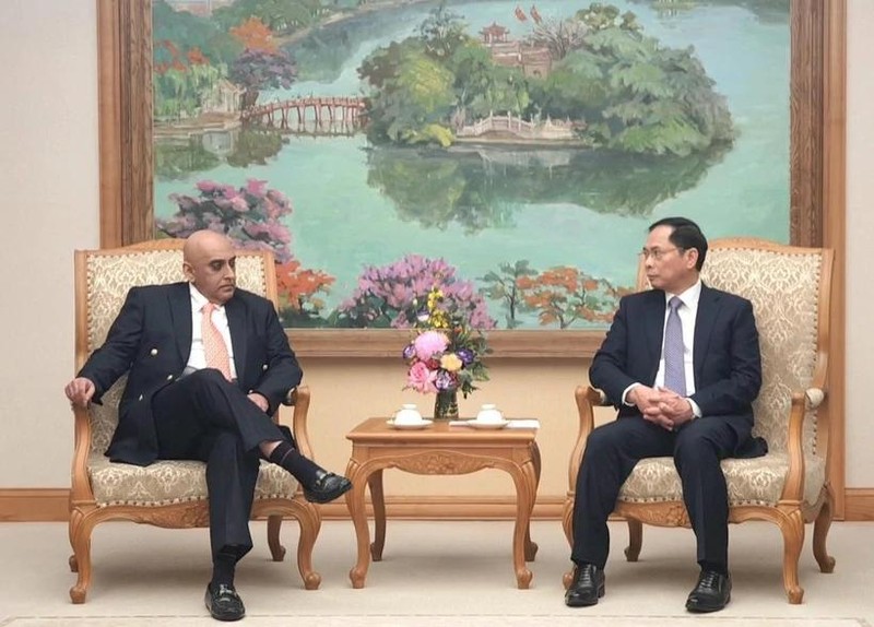 Le vice-Premier ministre et ministre des Affaires étrangères, Bui Thanh Son (droite), et le président du groupe Makara Capital, Ali Ijaz Ahmad, le 15 janvier à Hanoi. Photo : VNA. 