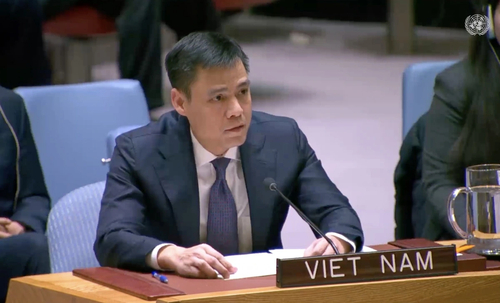 L’ambassadeur Dang Hoàng Giang, chef de la Mission permanente du Vietnam auprès de l'ONU. Photo : VOV.