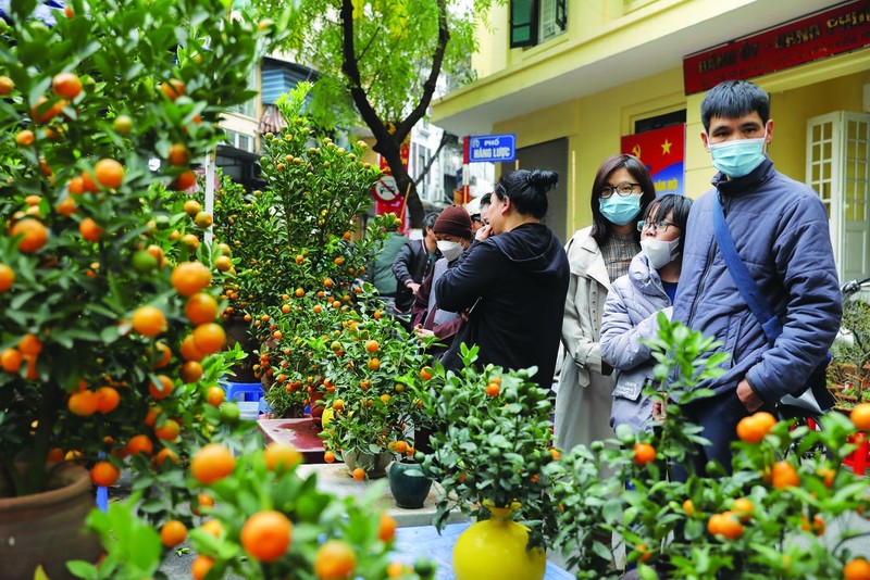 Le marché aux fleurs de Hàng Luoc dans l’arrondissement de Hoàn Kiêm, Hanoï. Photo : VNA.