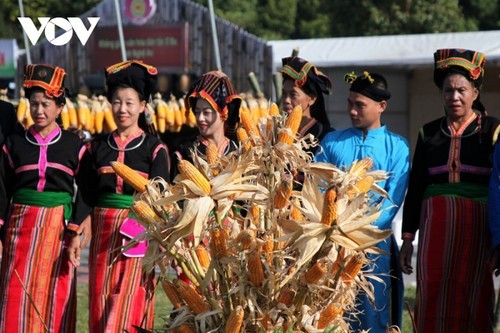 Le maïs, l'une des principales denrées de base, est étroitement lié aux croyances populaires des Cống.