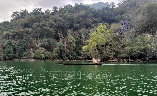 Le parc national de Ba Bê, dans la province montagneuse de Bac Kan, abrite une biodiversité extrêmement riche et plus de 10.000 ha d'étendues d'eau. Photo: VNA 