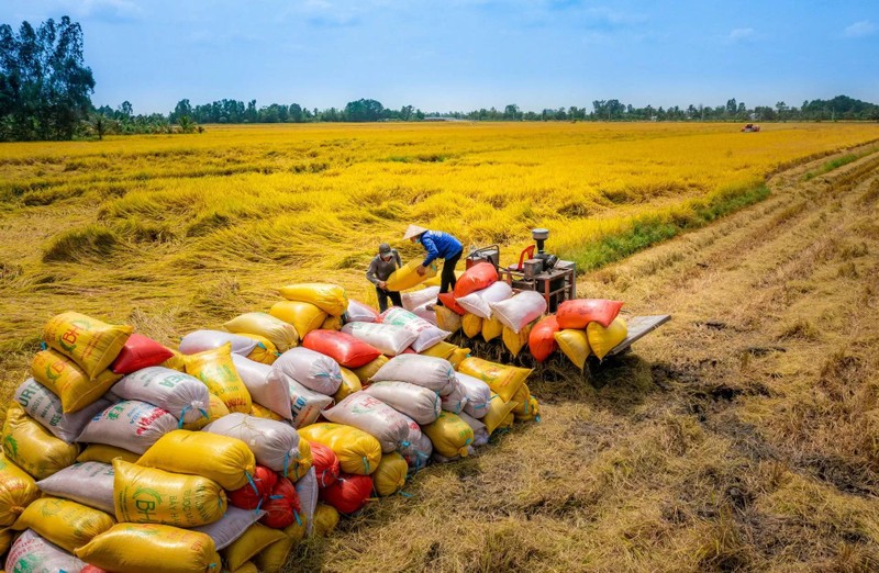 En 2024, le chiffre d'affaires des échanges commerciaux entre le Vietnam et l'Indonésie a atteint 16,7 milliards de dollars, soit le niveau le plus élevé jamais enregistré. Photo : congthuong.vn