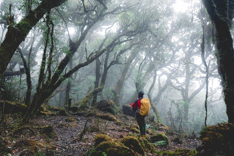 Sa Mu est accessible aux débutants en escalade et en trekking. 