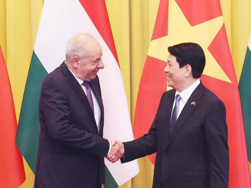 Le président vietnamien Luong Cuong (droite) et son homologue hongrois Sulyok Tamás. Photo . VNA.