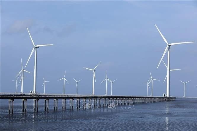 Des éoliennes construites au large de la province de Cà Mau. Photo : VNA. 