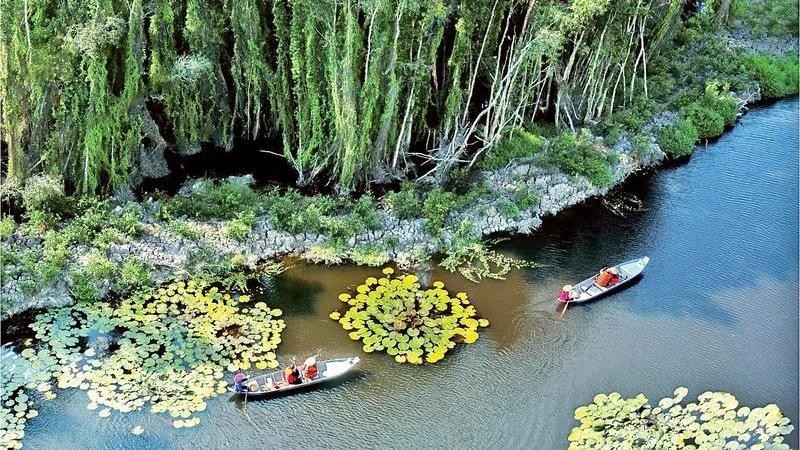 Des touristes visitent la forêt de cajeputiers à Dong Thap Muoi, à Long An. Photo : nhandan.vn 