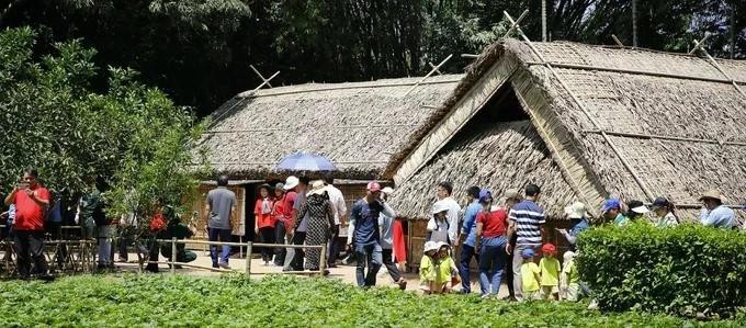 De nombreuses personnes se rendent au village de Sen à l’occasion du 135e anniversaire de la naissance de l'Oncle Ho. Photo : sggp.org.vn 