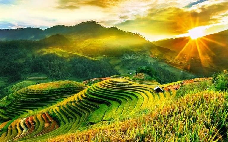 Mu Cang Chai. Photos: VNA