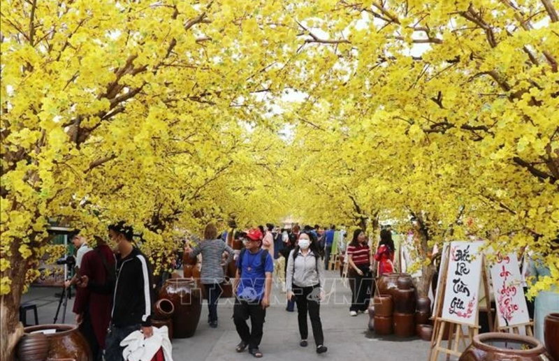 La rue des fleurs d'abricotiers. Photo : VNA.