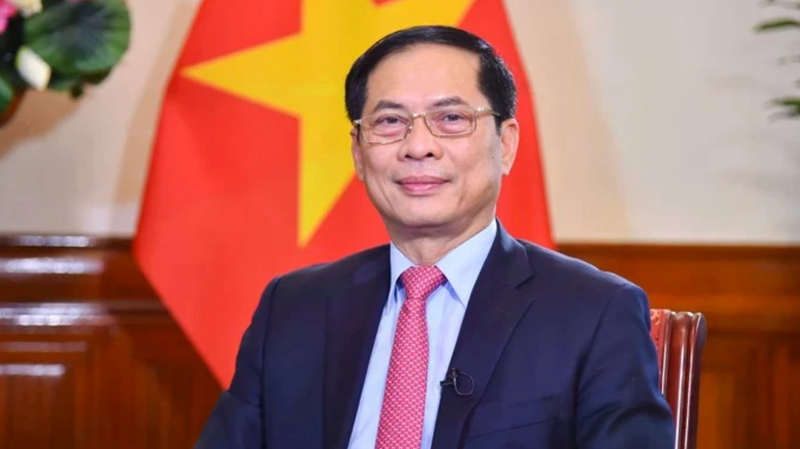 Le vice-Premier ministre Bui Thanh Son. Photo : VNA.