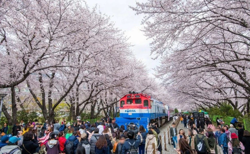 Une fête en République de Corée. Photo: KTO