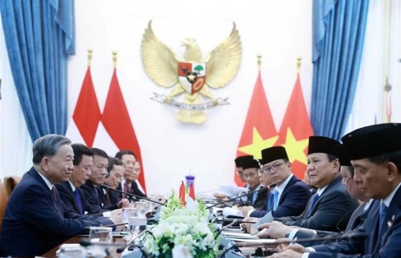 Lors de l'entretien entre Tô Lâm et Prabowo Subianto. Photo : VNA.