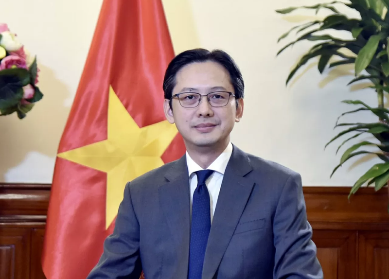 Le vice-ministre des Affaires étrangères Do Hung Viet. Photo: baochi