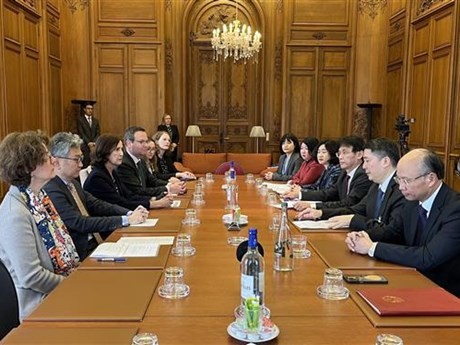 Réunion entre des représentants de l'OCDE et du Vietnam. Photo : VNA.