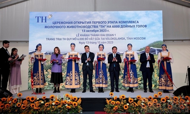 Le groupe TH vient d'inaugurer une ferme de 6 000 vaches laitières à Volokolamsk en Russie. Photo: baodautu.vn