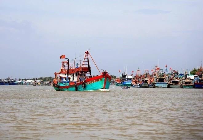 En 2024, la province de Tiên Giang a enregistré une production halieutique de plus de 10.000 tonnes. Photo: VNA